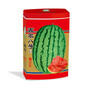 Medium mature large fruit watermelon      Seedless Watermelon     