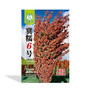 Hybrid brew type sorghum Ji Waxy No.6     high-yield crop          