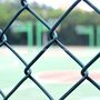 PVC Coated Chain Link Fence