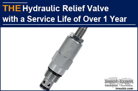 AAK Hydraulic Relief Valve with a Service Life of Over 1 Year