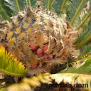 Prenatal care: 2nd trimester visits