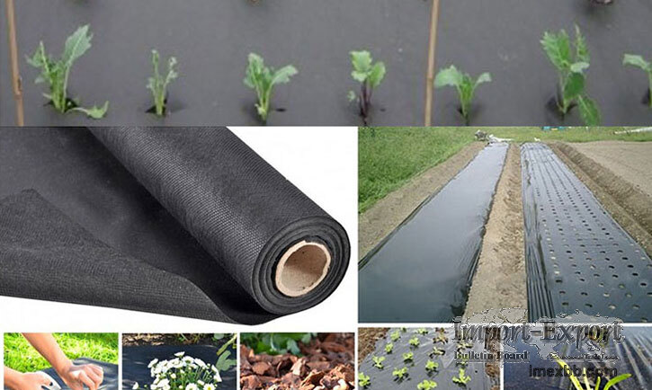 Nonwoven Fabric Used in Agriculture
