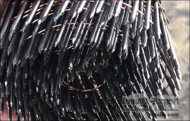 Wire Collated Coil Nail
