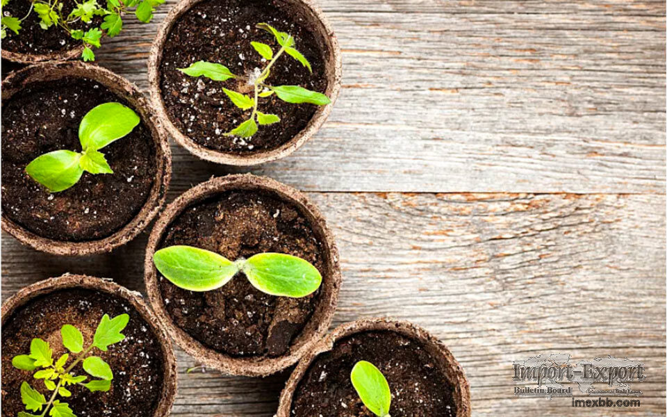 Biodegradable Plant Pots Wholesale