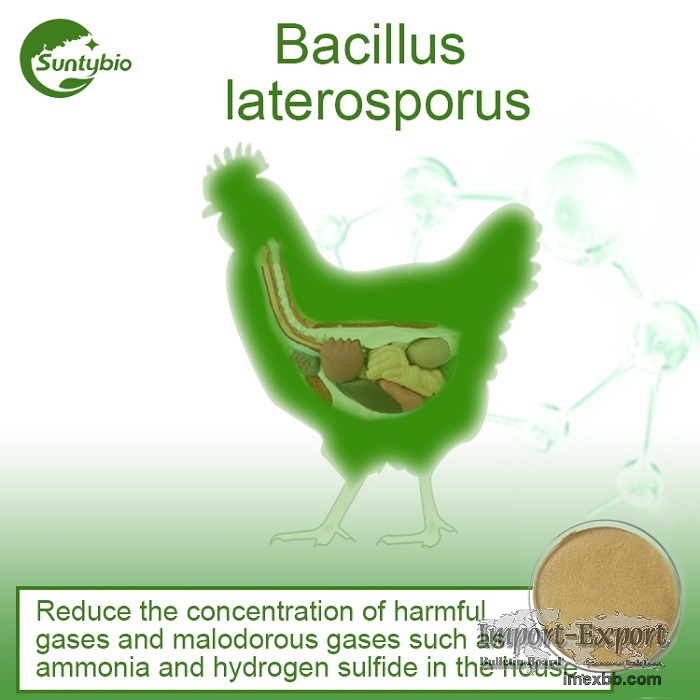 Bacillus Laterosporus