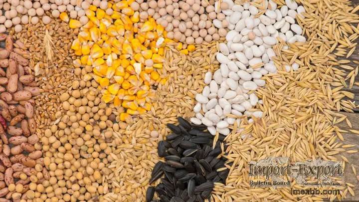 How to produce fish feed pellets in Nigeria?