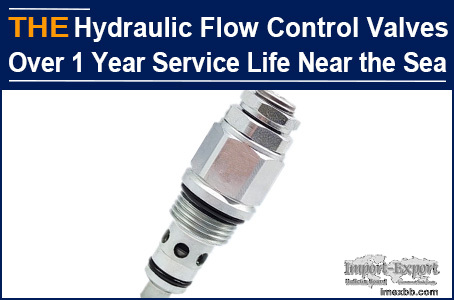 AAK Hydraulic Flow Control Valves Over 1 Year Service Life Near the Sea