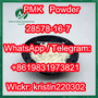 Supply CAS 28578-16-7 pmk glycidate powder 100% Safe Delivery