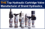 AAK, China Top Hydraulic Cartridge Valve Manufacturer of Brand Hydraulics