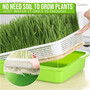 Sprout Growing Trays   Plastic Plant Trays Wholesale     