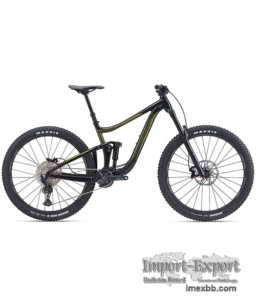 2021 Giant Reign 29 2 Mountain Bike (ALANBIKESHOP)