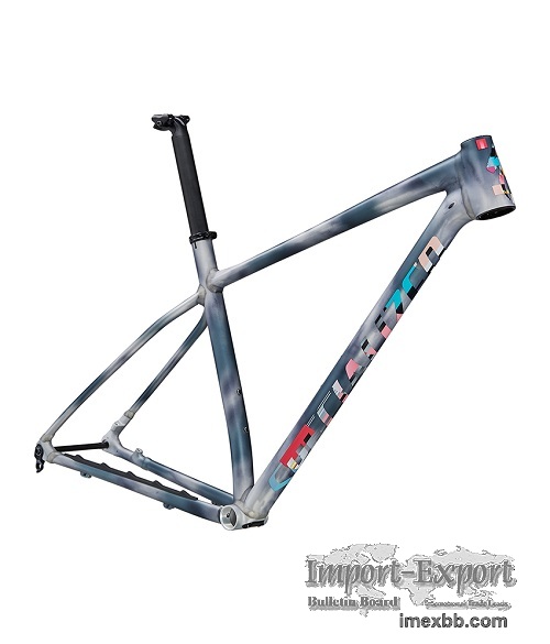 2021 Specialized Chisel LTD Frameset (ALANBIKESHOP)