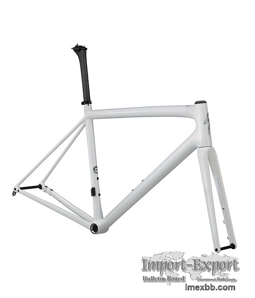 2021 Specialized Aethos Frameset (ALANBIKESHOP)