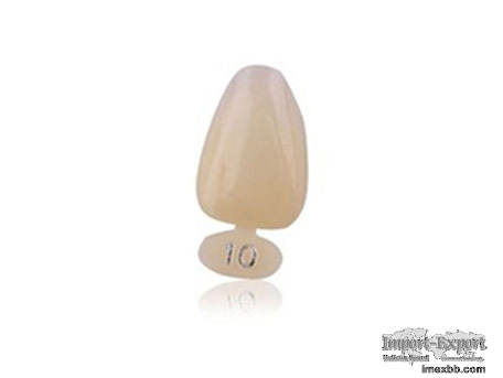 Medical Plastic Injection Mold