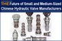 The Future of Small and Medium-Sized Chinese Hydraulic Valve Manufacturers