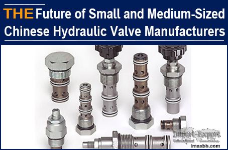 The Future of Small and Medium-Sized Chinese Hydraulic Valve Manufacturers