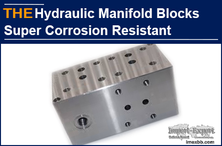 AAK Hydraulic Manifold Blocks Super Corrosion Resistant