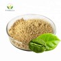Orgnaic Green Coffee Bean Extract 10% - 50% Chlorogenic Acid