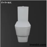Dual Flush 3L 6L Wash Down Type Water Closet Floor Mounted Wc Bathroom Sani