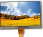21.5 Inch 1920x1080 FHD 30PIN LVDS-Double IPS 600nits Open Frame LCD