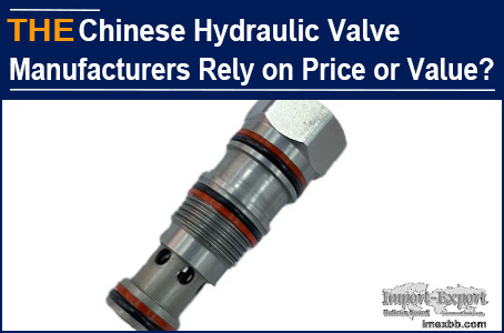 Chinese Hydraulic Valve Manufacturers Rely on Price or Value? AAK thinks so