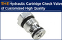 AAK Hydraulic Cartridge Check Valves of High Quality