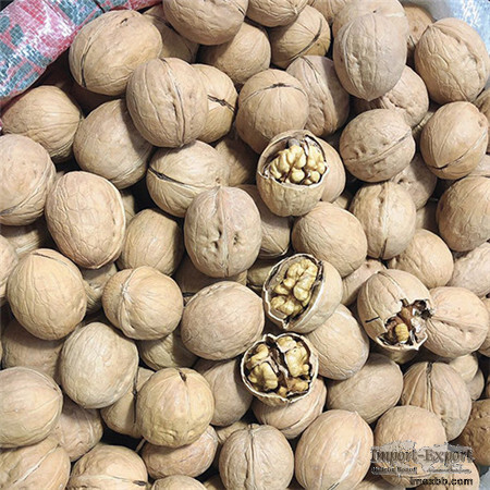 33 Walnut Inshell      Sansan walnut       