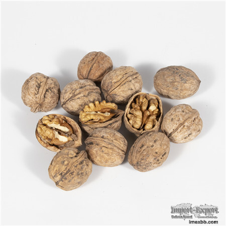 XingFu Walnut Inshell      China Shelled Walnuts Manufacturers    