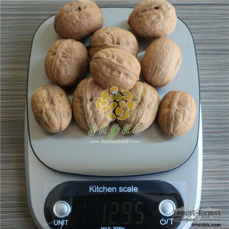 Xin2 Walnut Inshell      New2 walnut    