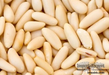 Top Grade Pine Nuts Available For Export