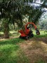 self-loading mini dumper