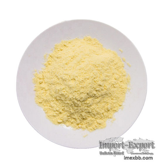 Freeze Dried Corn Powder Bulk & Wholesale