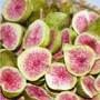 Freeze Dried Figs Bulk & Wholesale