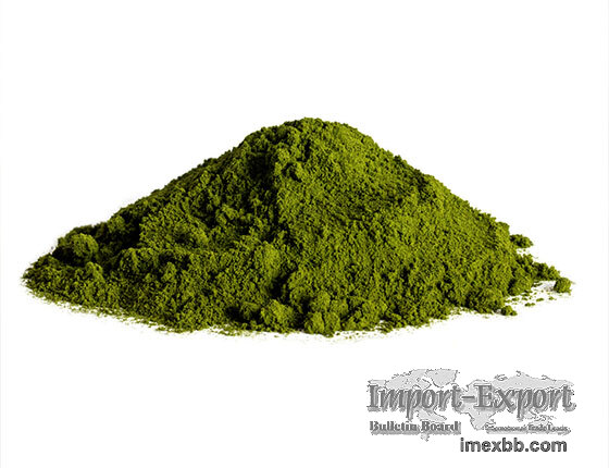 Organic Chlorella Powder