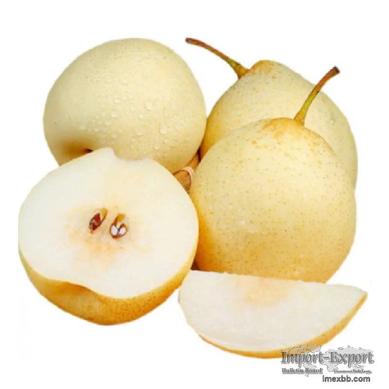 Ya Pear/Chinese Yellow Pear