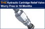 AAK Hydraulic Cartridge Relief Valve Worry Free in 18 months