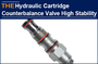 AAK Hydraulic Cartridge Counterbalance Valve High Stability