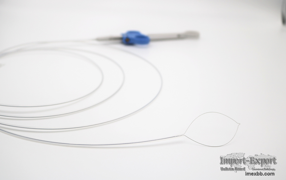 Polypectomy Snares (Hot & Cold)