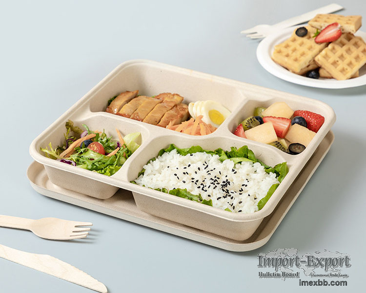 Compostable Take Out Food Containers, Disposable and Biodegradable