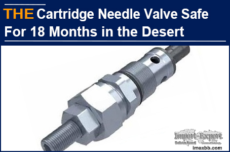 AAK Cartridge Needle Valve Safe for 18 Months in the Desert