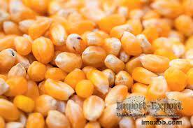 Raw Material & Mineral Resources