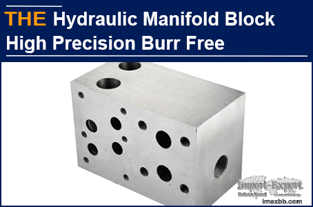 AAK Hydraulic Manifold Block High Precision Burr Free