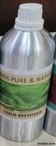 Taxus bravefoliya extract solution GS 