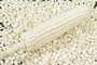 White Maize & Yellow Maize for Human & Animal Feed For Sale