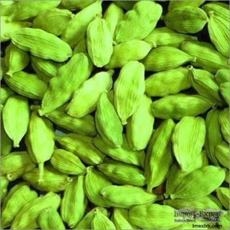 FDA And GAP Standard Green Cardamom With Low Price For Sale