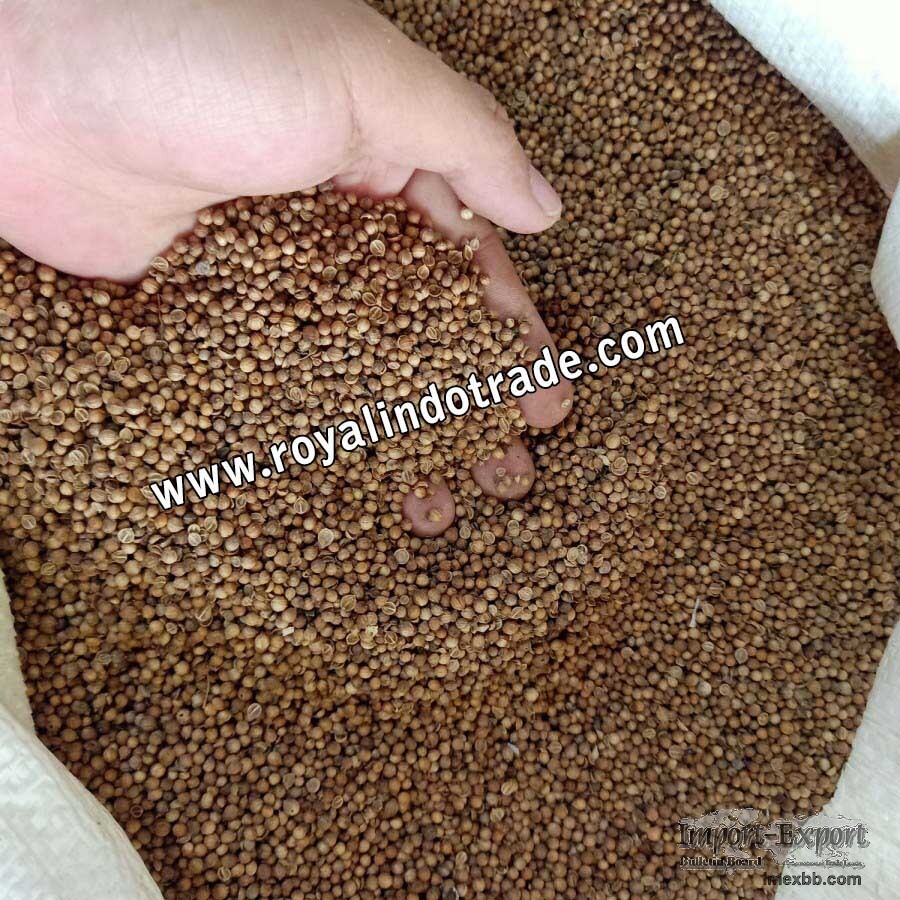 Premium Pure Black Coriander - Spices Origin Indone