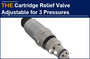 AAK Hydraulic Cartridge Relief Valve Adjustable for 3 Pressures