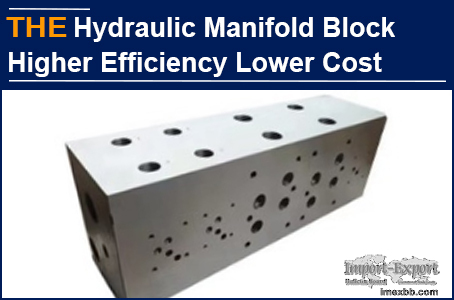 AAK Hydraulic Manifold Block Higher Efficiency Lower Cost