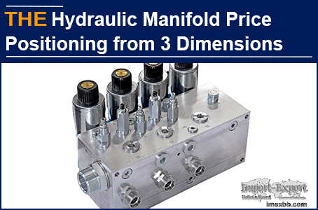 Price positioning of AAK Hydraulic Manifold is defined from 3 dimensions