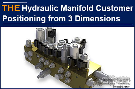 AAK Hydraulic Manifold Customer Positioning from 3 Dimensions